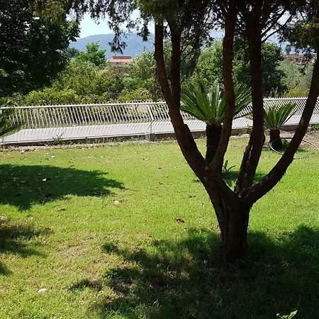 La Magnolia *