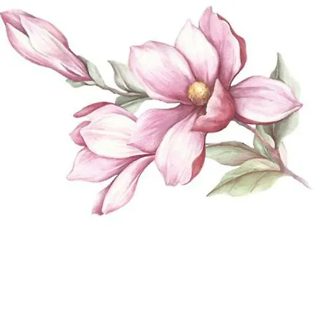 La Magnolia